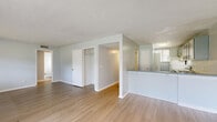 Located at 5821 San Juan Avenue in Jacksonville, Florida, this single-story, 4-bedroom, 1-bathroom home offers a functional and well-organized layout. Light-toned luxury vinyl plank flooring runs throughout the entire home, lending a clean, cohesive look to every room.

The living room is bright and spacious, featuring large sliding glass doors that flood the space with natural light and provide direct views of the outdoor greenery. A secondary window further enhances the airy ambiance. The open-concept kitchen features slate-blue cabinetry, a peninsula with bar-height counters ideal for casual dining, a white appliance package, and ample upper cabinet storage. A dedicated pantry adds additional convenience.

A central hallway connects the four bedrooms, each featuring soft blue-gray walls, LVP flooring, and individual closets with rod and shelf storage. The generously sized primary bedroom offers notable square footage and a dedicated closet. The shared full bathroom is clean and modern, appointed with a slate-blue vanity, white countertop, and a mirrored medicine cabinet. Two pantry spaces and multiple hallways enhance the overall storage and circulation throughout the home, making it a practical and comfortable residence.