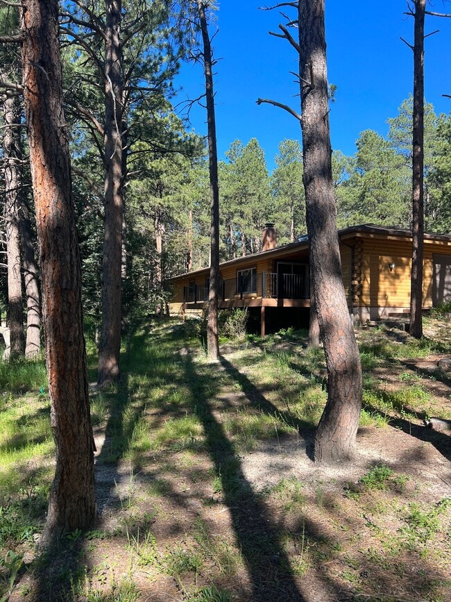 Building Photo - 615 Congressional Dr