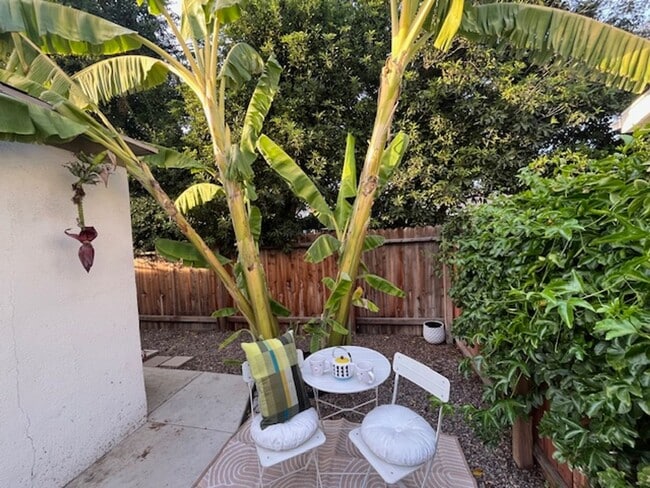 Photo - 4773 Sierra St Apartment