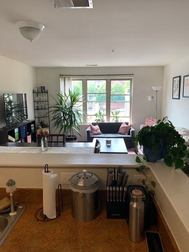 Living Area - 1343 Clifton St NW