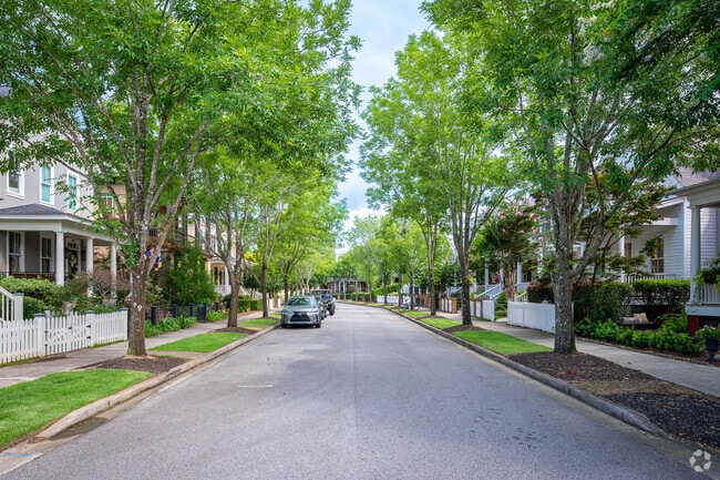 Enjoy a shaded walk along the neighborhood streets of Hammonds Ferry.