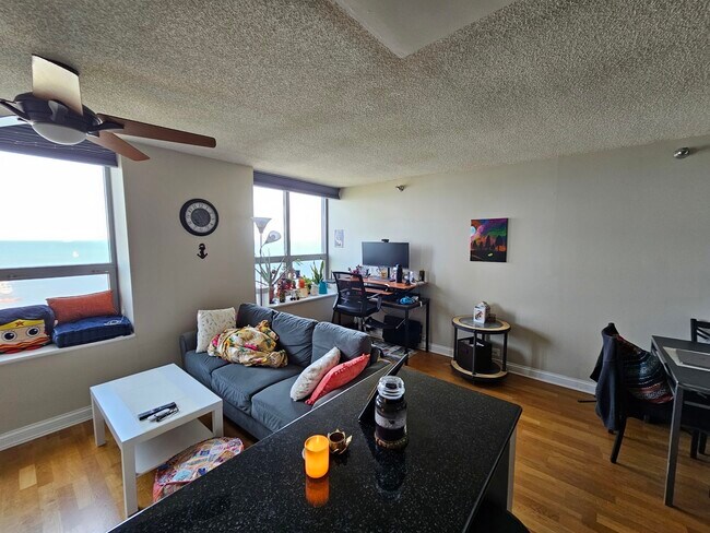 Building Photo - 474 N Lake Shore Dr
