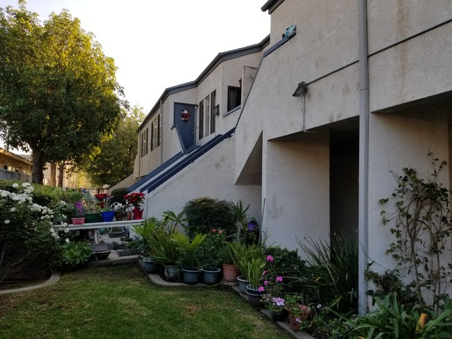 Yard - Palmyra Villas