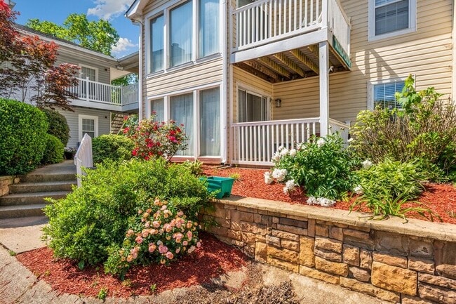 Building Photo - 803 Augusta Dr
