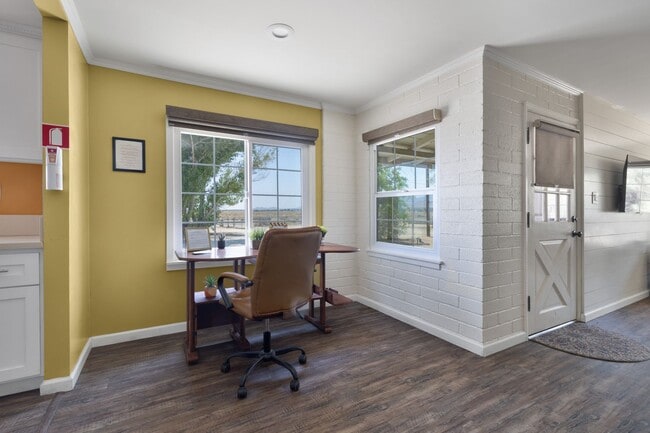 Building Photo - Quiet Desert Home - BONUS ROOM CONVERTING ...