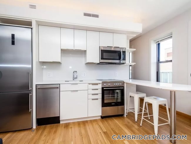 Building Photo - 115 Mt Auburn St