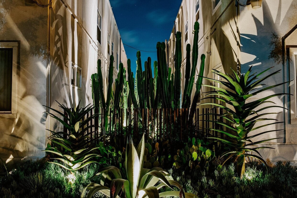 Primary Photo - Community @ Mi Apartamento 2 Bedroom (1 Be...