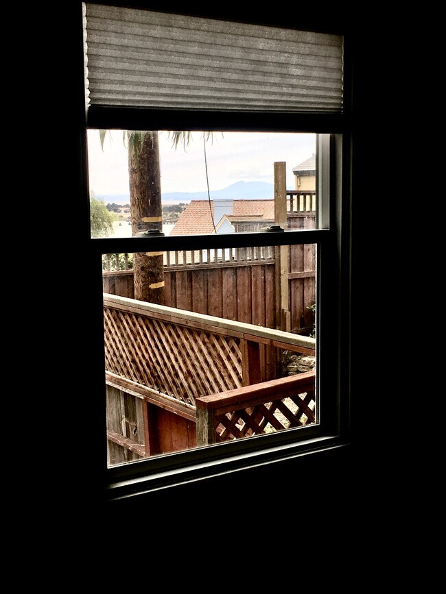 The view from the bedroom --- bay and mountains and a palm tree:) - 117 Daniels Ave