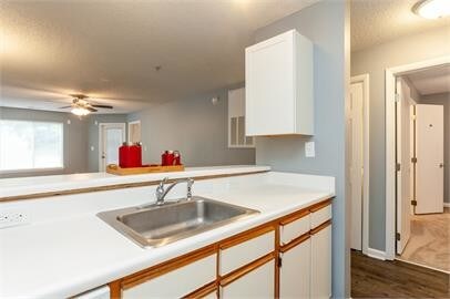 Building Photo - 1231 University Ct