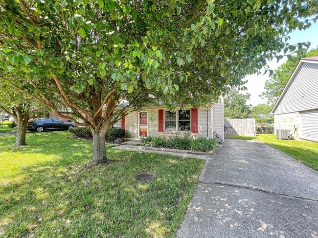 Foto del edificio - 1559 Summerhill Dr