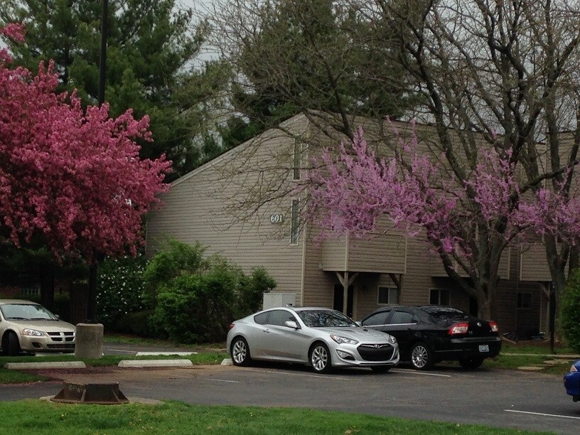 589 Delzan Plz, Lexington, KY 40503 Townhouse for Rent in Lexington