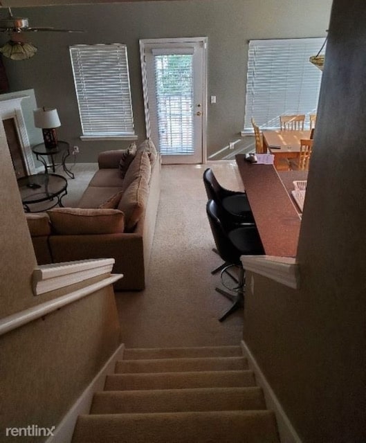 Foto del edificio - 13 Orchid Ln