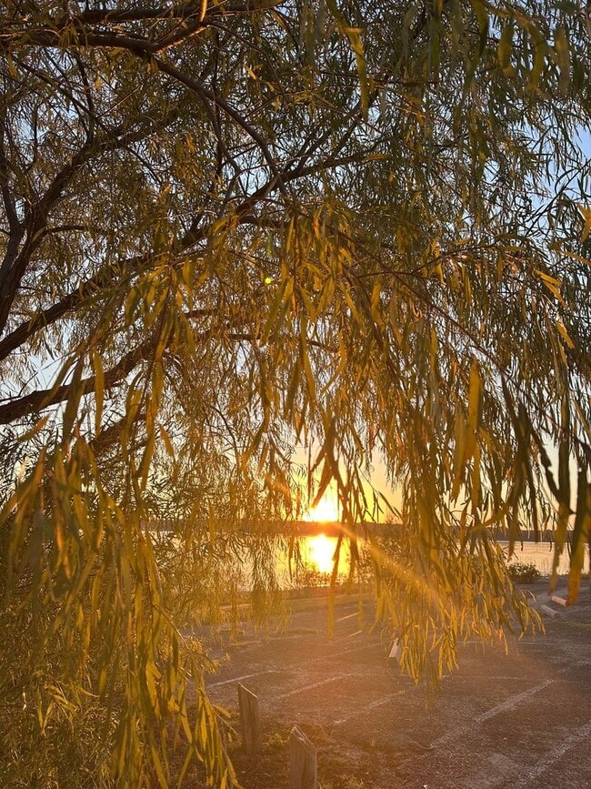 Building Photo - 734 Benchmark Trail