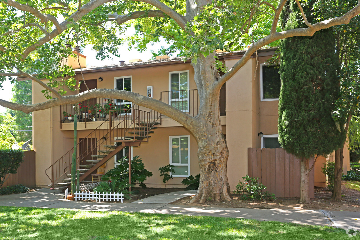 Primary Photo - Walnut Wood Apartments