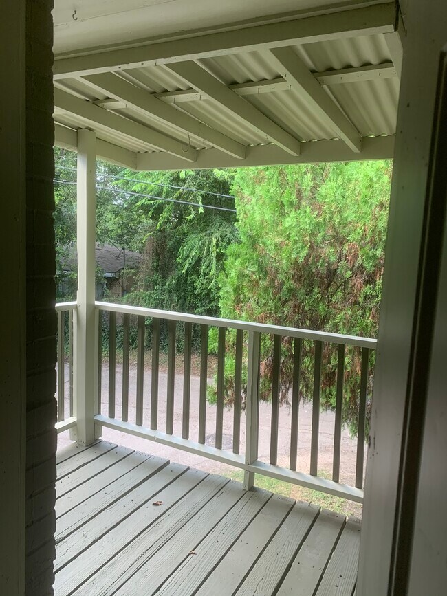 View from Private Patio - 5025 Park Dr