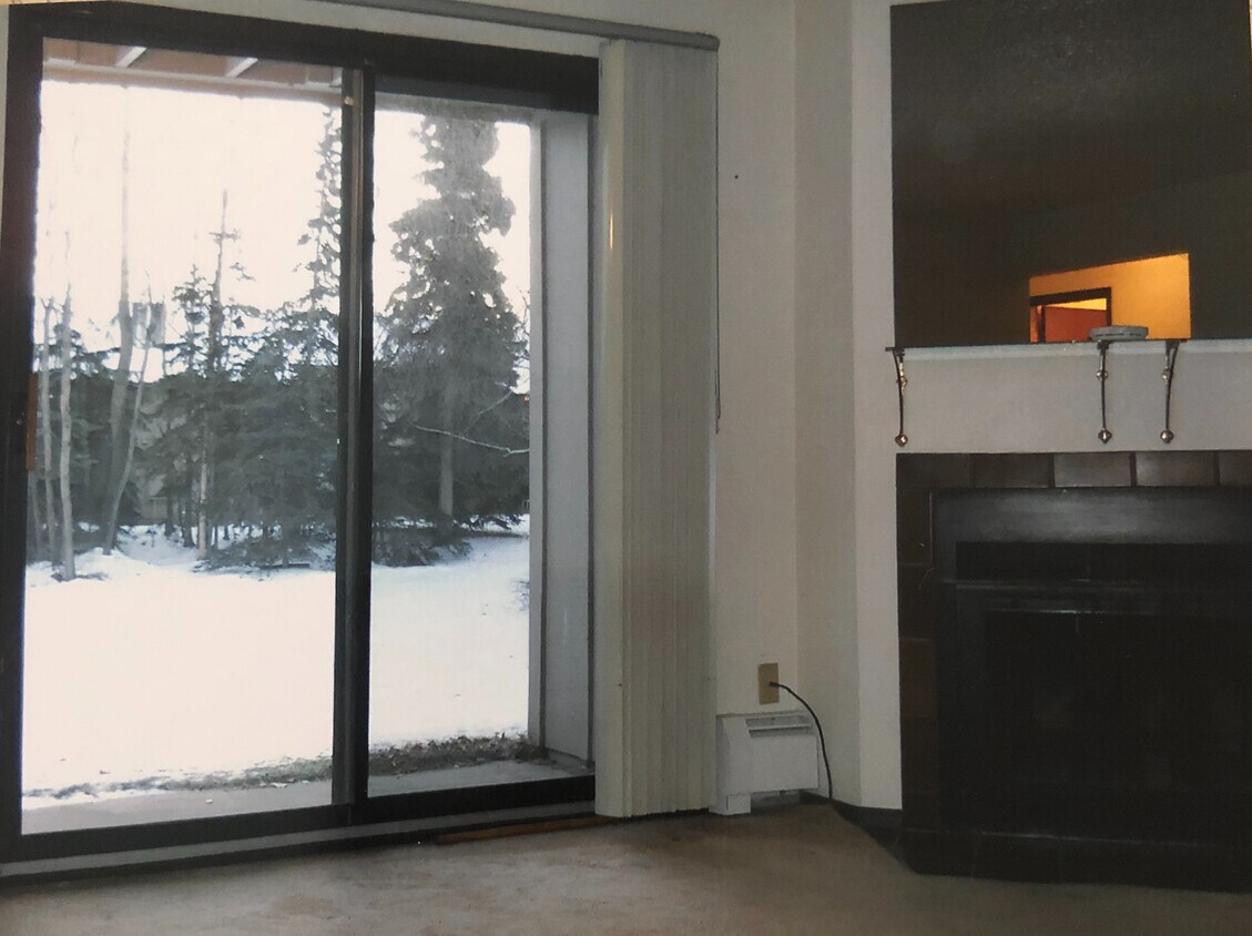 3021 Lois Dr Unit 206, Anchorage, AK 99517 Condo for Rent in