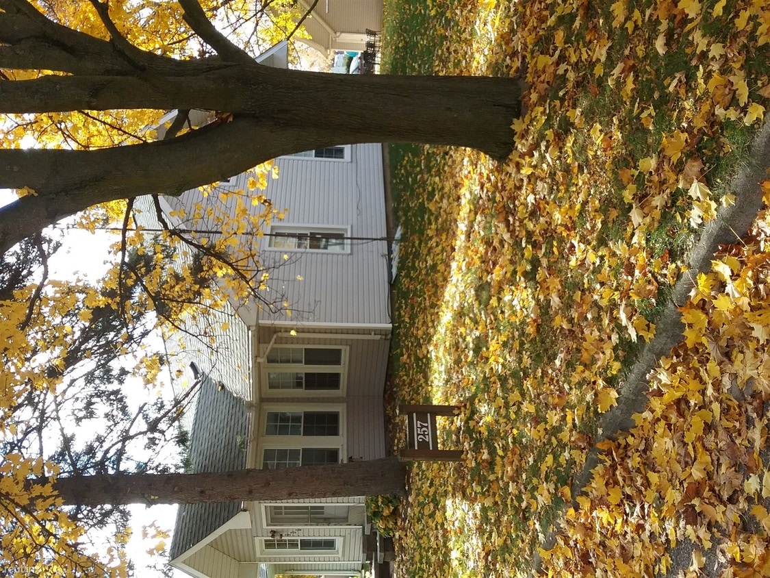 Primary Photo - 257 Nightingale St