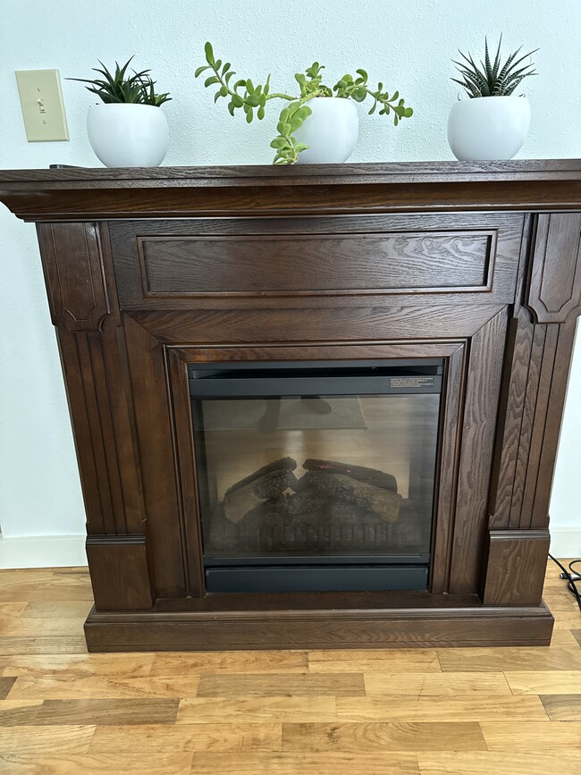 Electric Fireplace - 515 Garfield Ave SW