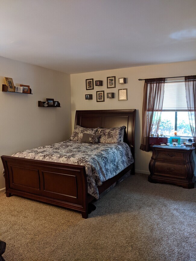Bedroom 2 - 409 Meadow Woods Ln