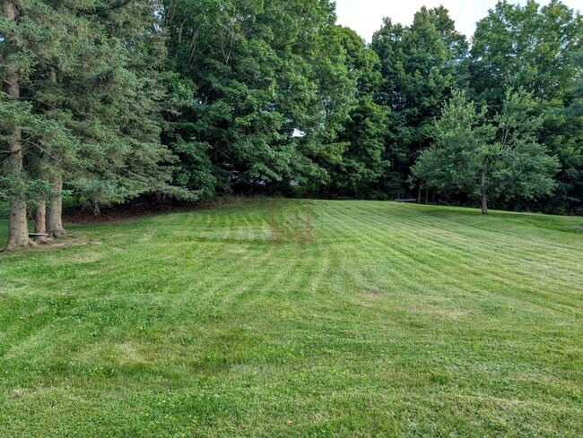 Back yard - 39 Kennebec St