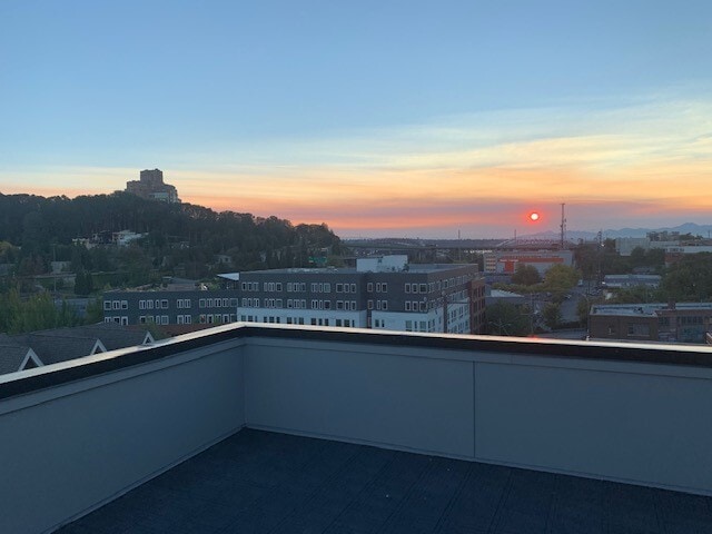 Roof Top View - 1630 S Lane St