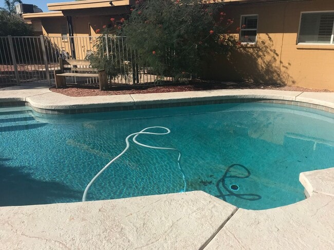 Building Photo - Shea & Tatum House with Pool!