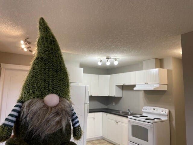 Photo du bâtiment - 1 Bed 1 Bath Unit in Didsbury, AB