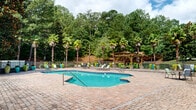 Located at 3384 Mount Zion Road in Stockbridge, Georgia, this generously sized outdoor amenity space offers a well-appointed pool area designed for both relaxation and recreation. The centerpiece is a large freeform swimming pool with a shallow wading entry, built-in steps, and clearly marked depth indicators, making it accessible and inviting for a wide range of users. The pool is surrounded by an expansive brick paver deck that provides ample room for lounging and socializing, with multiple chaise lounge chairs and seating arrangements positioned throughout the space. A classic wooden pergola anchors one end of the deck, offering a shaded gathering spot with additional seating beneath. Vibrant teal planters filled with colorful seasonal flowers and tropical greenery add striking decorative accents throughout the patio. The perimeter is enclosed by a wrought iron fence, ensuring both security and an unobstructed view of the lush, wooded backdrop. Tall palm trees interspersed with mature pines, magnolias, and deciduous trees create a tropical-inspired ambiance that enhances the resort-like atmosphere. A small clubhouse or utility building with restroom access is situated poolside, adding convenience to the outdoor experience. The entire setting benefits from abundant natural light and a serene, nature-filled environment.