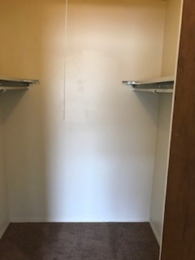 Foto del edificio - 2717 Boxwood Ln