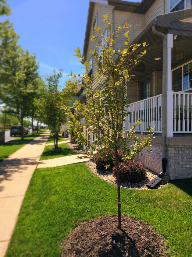 312 Pasque St, Sun Prairie, WI 53590 Townhome Rentals in Sun Prairie