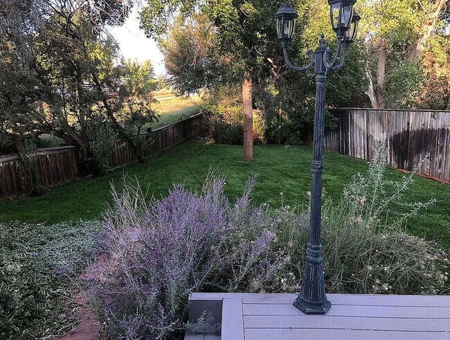 Foto del edificio - Spacious 4BR House in Highlands Ranch