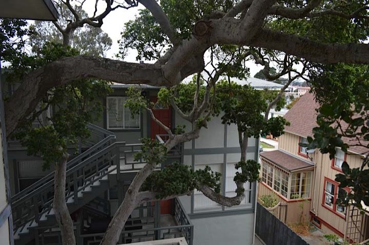 Primary Photo - 426 Lighthouse Ave