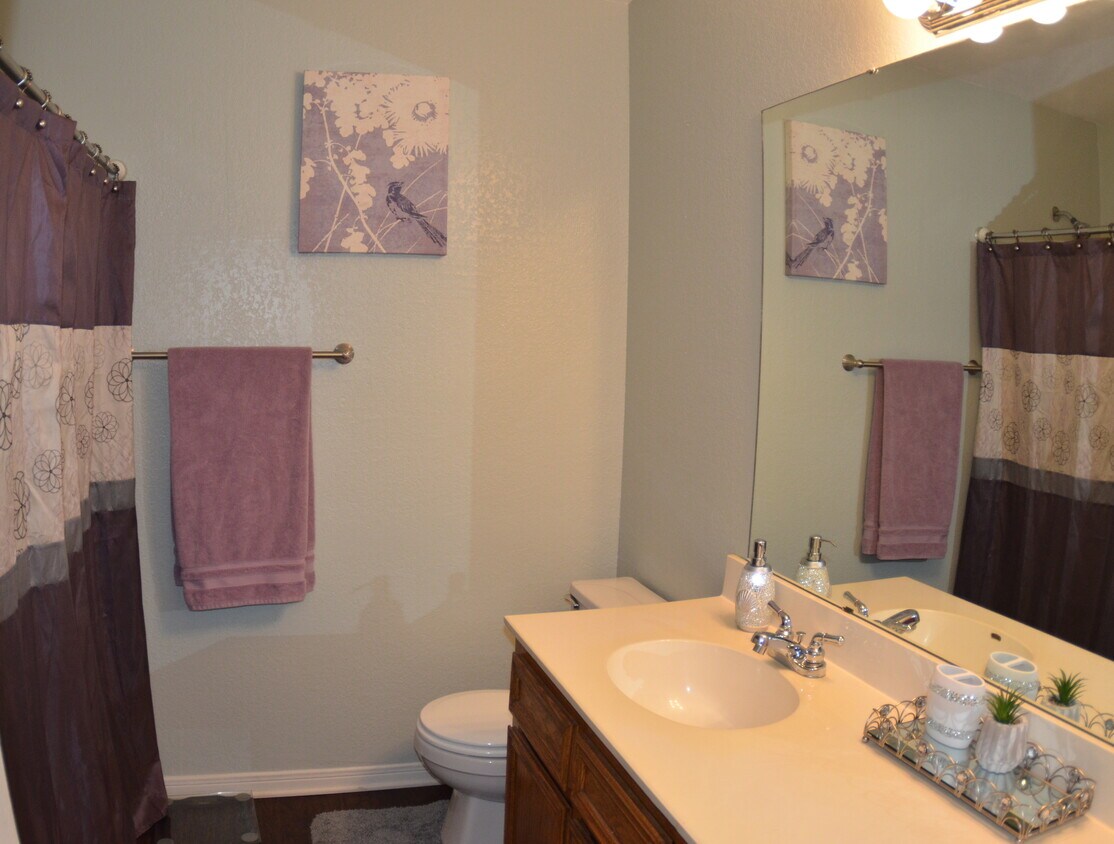Guest bathroom - 300 Morgan's Point Rd