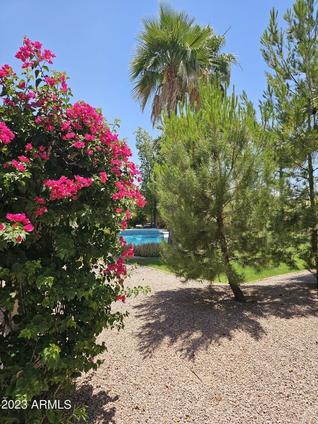 6101 E Charter Oak Rd, Scottsdale, AZ 85254 House for Rent in