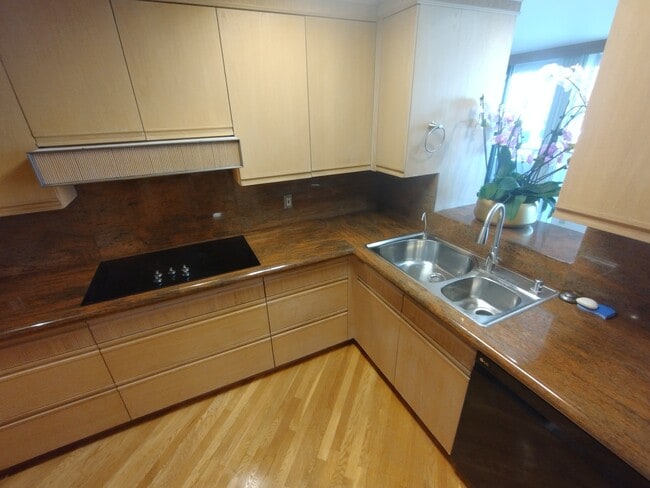 Placa de cocina, fregadero y grifo nuevos. - 121 S Hope St