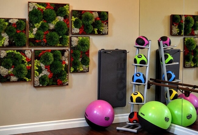 Avino Fitness Center - Avino