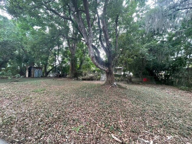 Building Photo - 702 Plumosa Ave