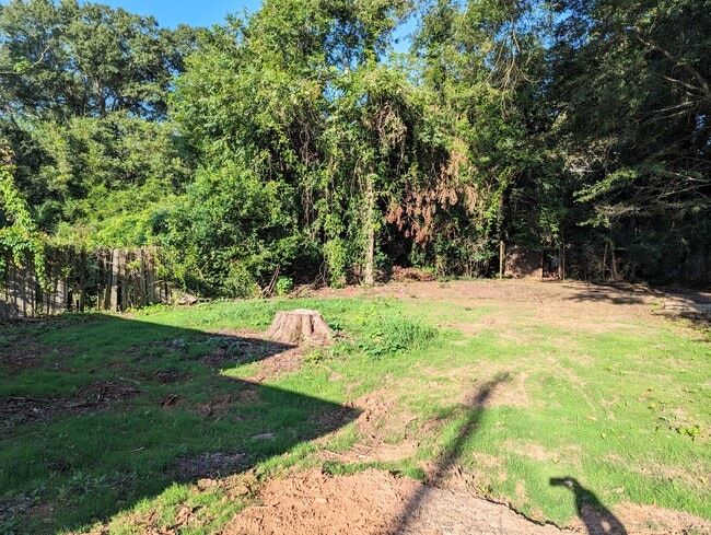 Building Photo - 1211 Spring Dr