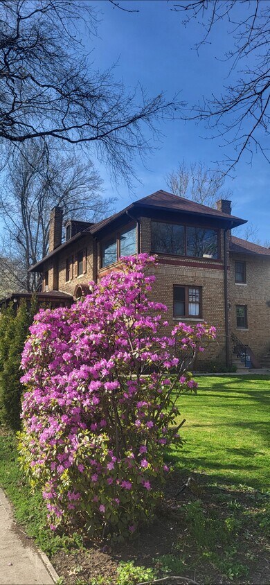 Primary Photo - 396 N Arlington Ave
