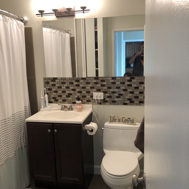 Bathroom - 1255 N Sandburg Terrace