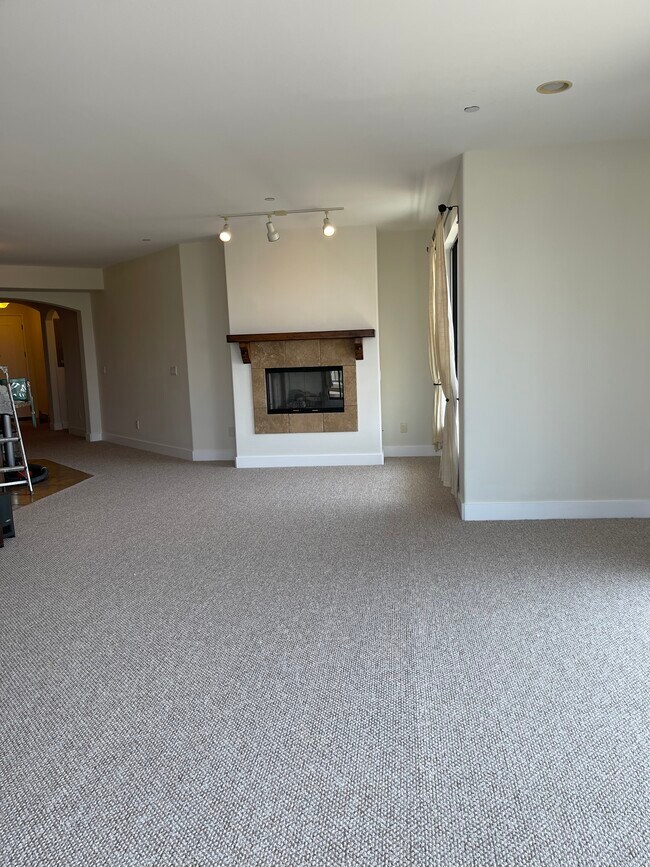 FIREPLACE - 1310 Armacost Ave