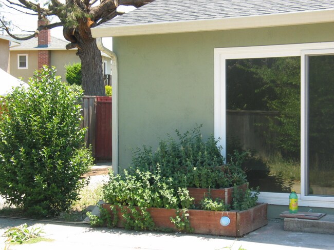 Building Photo - 36174 Coronado Dr