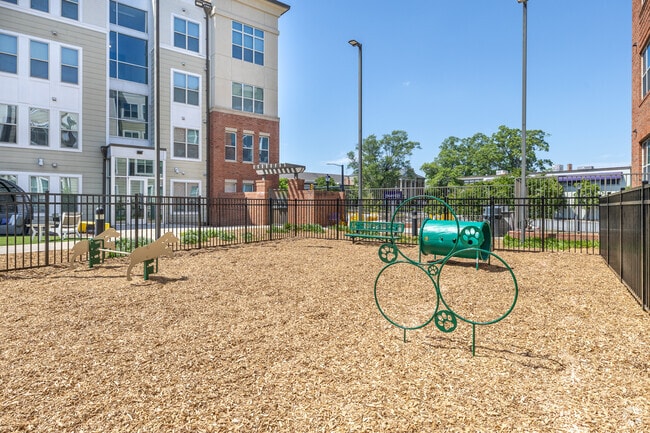 Dog Park - The Boundary at West End