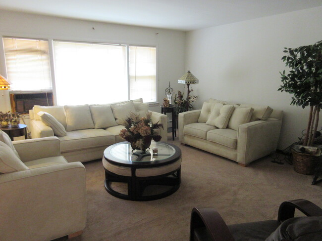 Living Room - 1049 David Dr