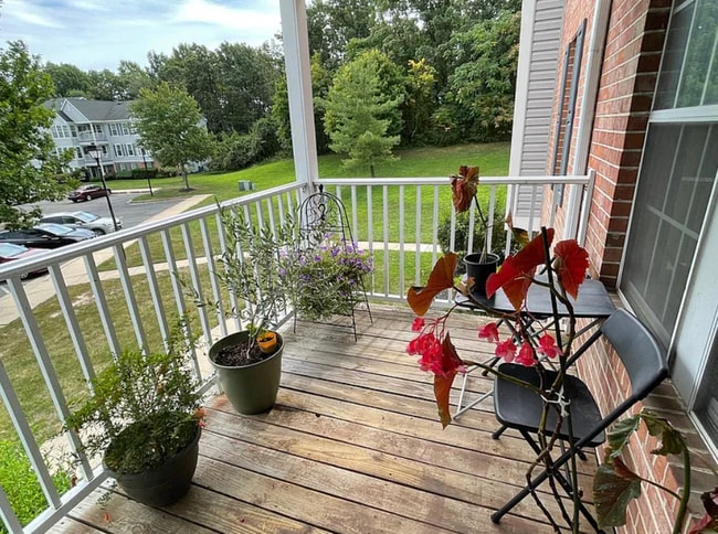 Foto del edificio - 12 Willow Path Ct