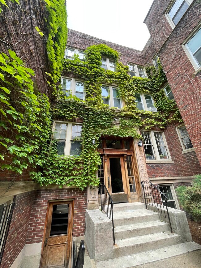 Foto del edificio - 97 Chester St