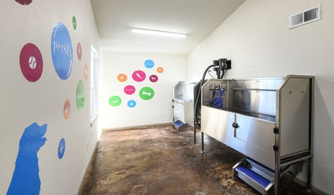 ¡No vuelvas a pagar por el aseo de tu mascota! Dale a tu cachorro un tratamiento completo en nuestro spa para mascotas. - Arcadia Apartment Homes