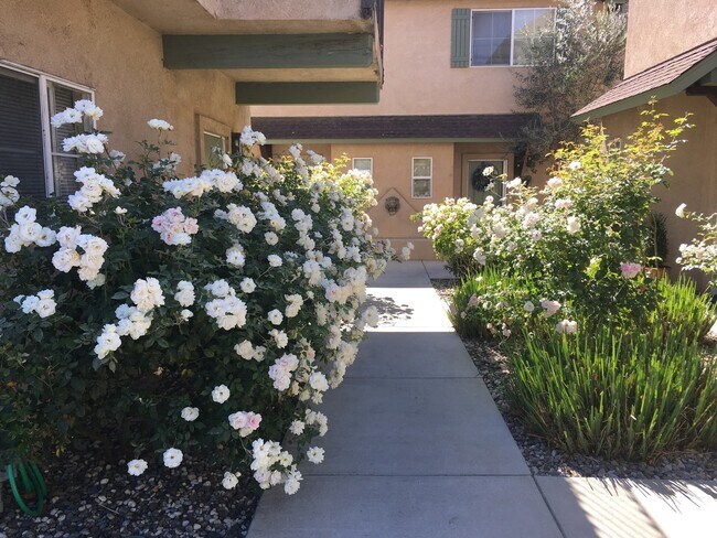 Building Photo - TENTATIVELY RENTED Popular Siena 2 Bedroom...