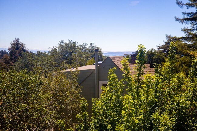 Foto del edificio - Beautiful Home in the Oakland Hills with v...