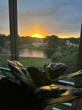 Building Photo - 1811 Sabal Palm Dr